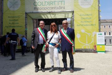 Sfoglia la galleria