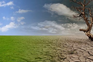 Laboratorio Effetto Terra