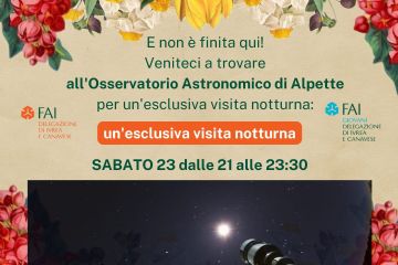 Sfoglia la galleria